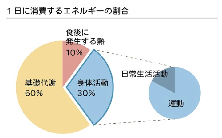 基礎代謝